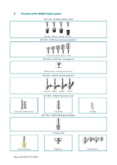 AHEAD Flowchart implant system EN 2024